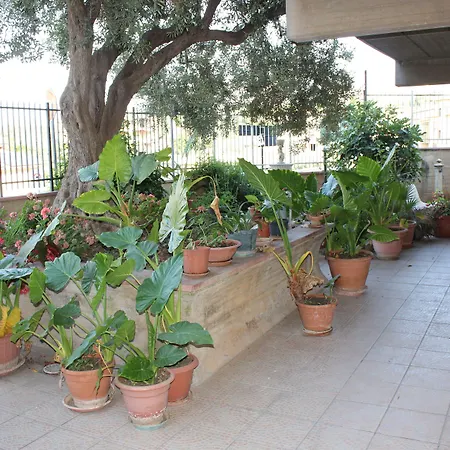 B&B Ulivo-2